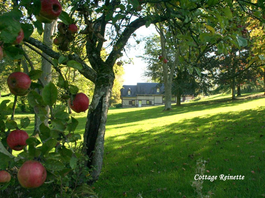 Les Fermes De Florence Bien Etre Et Nature Les Champeaux Pokoj fotografie